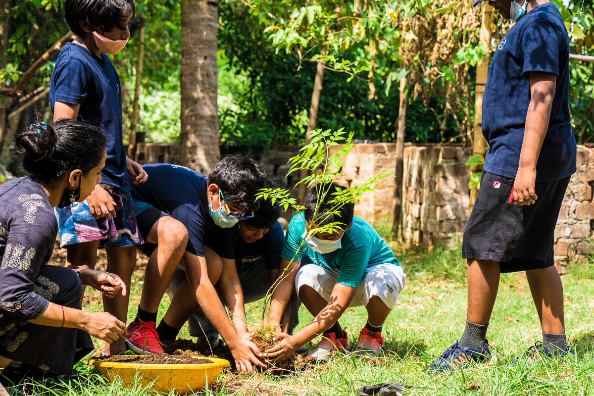 Young children involved in a planting activity with the teacher.